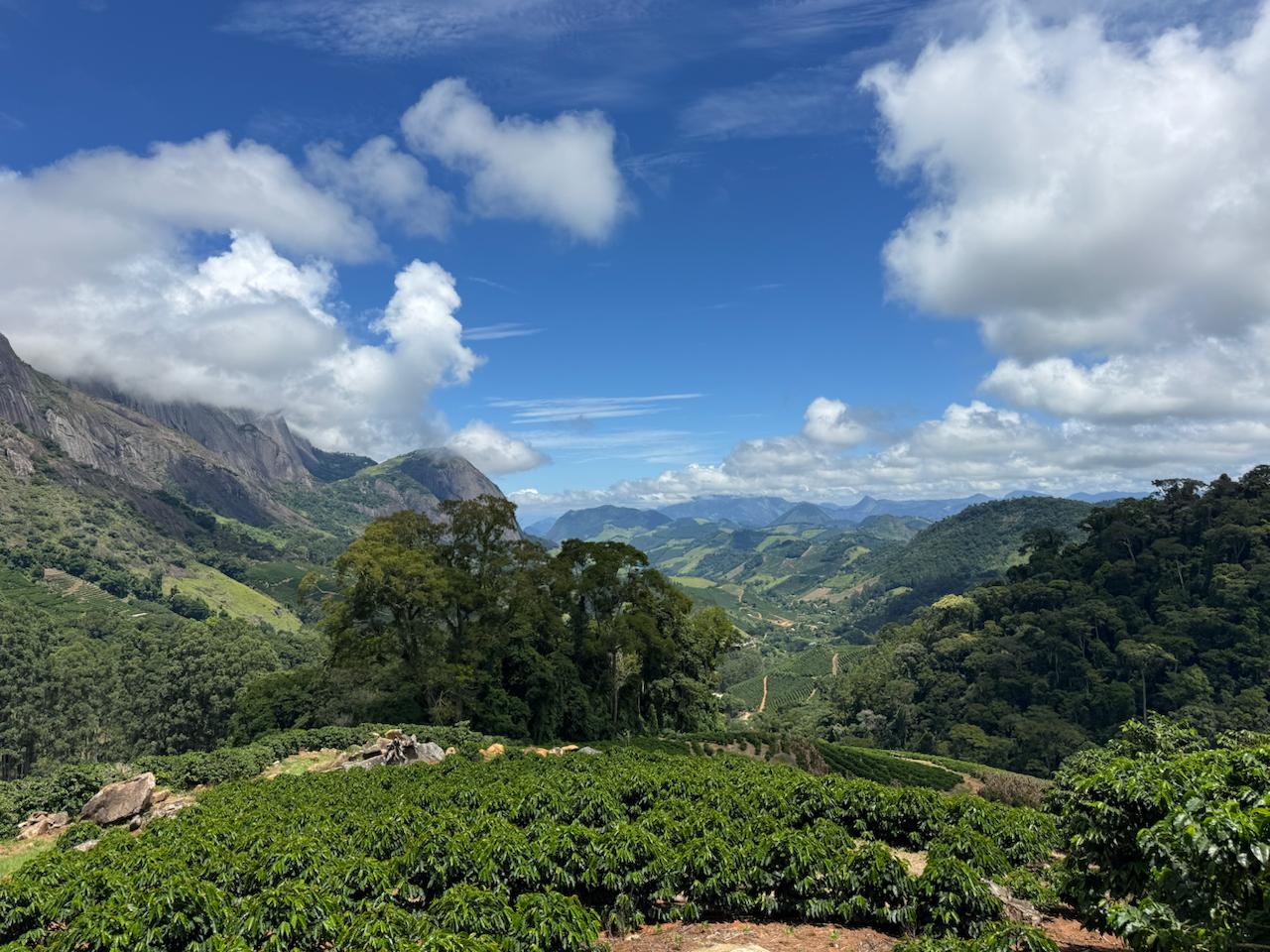 Aura Coffee family fazenda in the Brazilian mountains