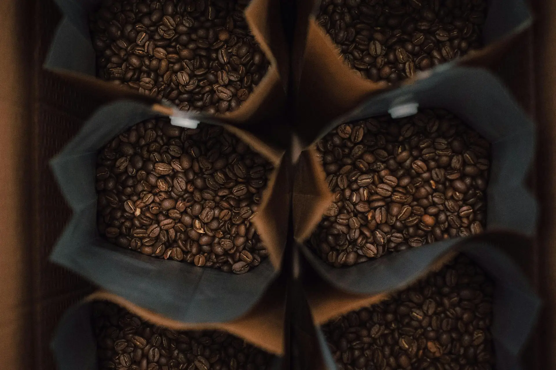 Aura Coffee sealed in premium packaging ready for delivery