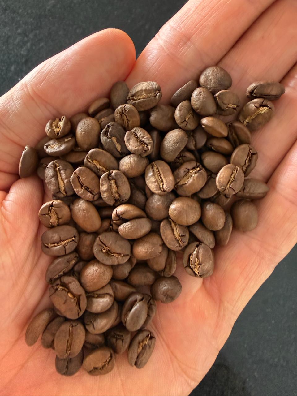 A handful of freshly roasted Aura Coffee beans