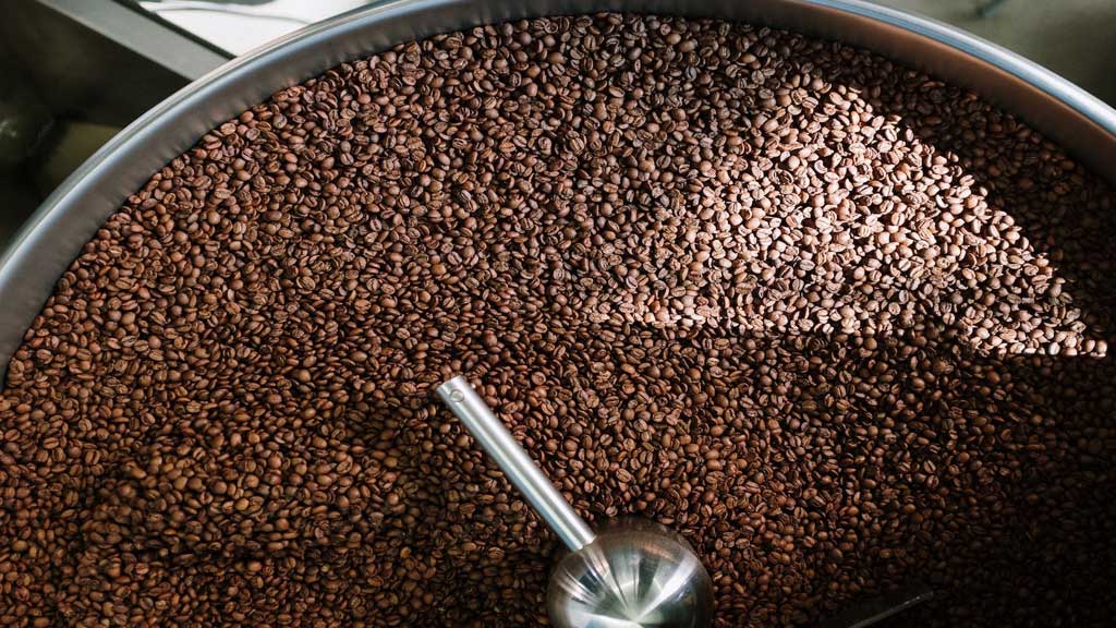 Freshly roasted coffee beans cooling in a commercial roasting tray